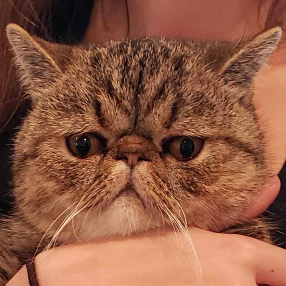 Meet your Posher, Aaliyah